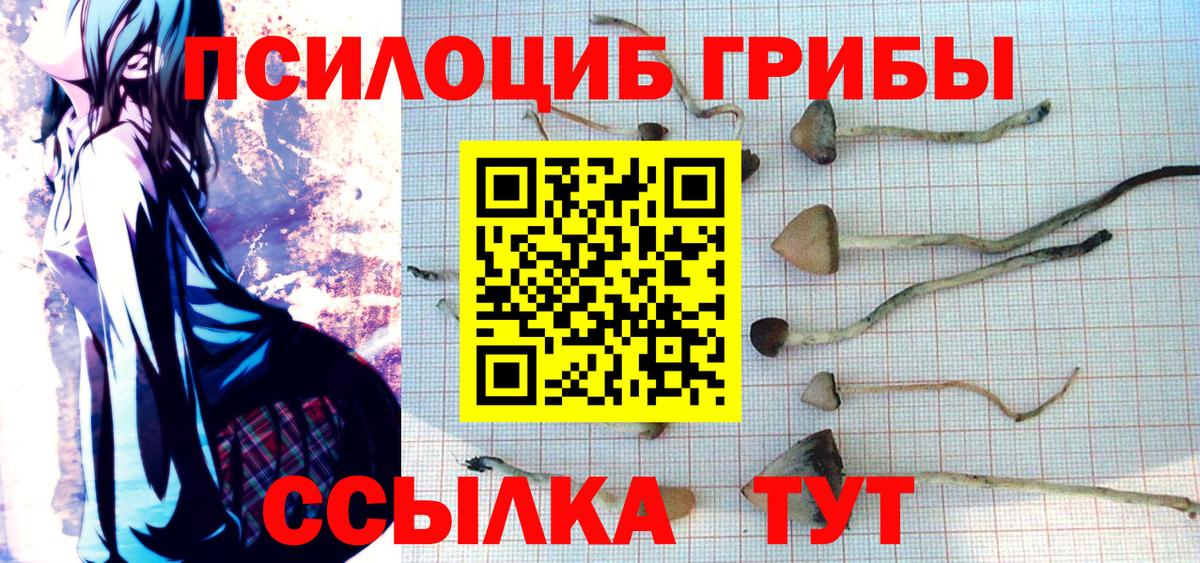 Галлюциногенные грибы Psilocybe  Псилоцибиновые грибы прущие грибы  Вход с VPN  Рыбинск 
